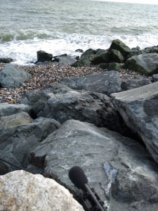 A microphone wedged in the rocks by the tide A microphone wedged in the rocks by the tide