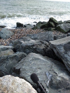 A microphone wedged in the rocks by the tide