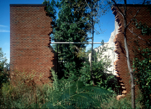 BEST Forest Building – BEST Products Company, Inc. – Retail Store – Richmond, VA – USA – 1980 - Existing forest as an intrinsic part of the building