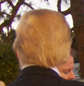 Donald Trump's hair from behind