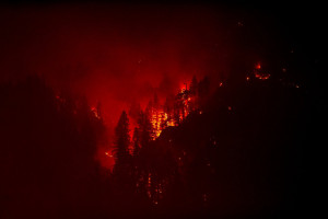 Eagle Creek Fire