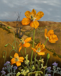 firepoppies_susan_harrington.jpg firepoppies_susan_harrington.jpg