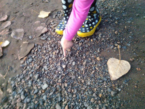 A pink sleeved child's arm and hand points out a piece of quartzite in the center of a gravel patch