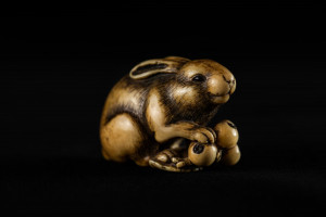 japanese_ivory_netsuke_of_a_rabbit_with_a_bunch_of_loquats._signed_in_rectangular_reserve_okatomo._18th_century._photo_by_heather_hawksford.jpg