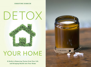 Chrtine Dimmick, Detox Your Home