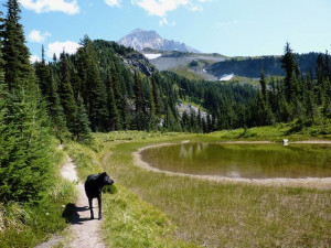 Tarn on the way to McNeil Pt. Mt. Hood Wilderness