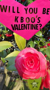 It's a picture of a giant rose in a rosebush above which is a paper heart which reads "Will You Be KBOO's Valentine?" & below which, on a leaf, is the Self Help Radio logo.