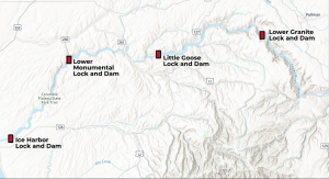 Lower Snake River Dams