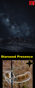 Starseed Presence - Squirrels Know, January 2022CE - Ender Black Starseed Presence - 2022CE - Squirrels Know, by Ender Black