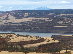 view from Tom McCall Point