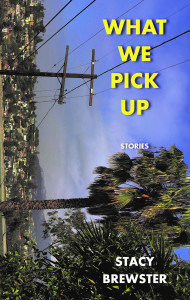 What We Pick Up by Stacy Brewster