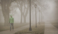 Photo by Newman University (Flickr)