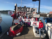 Coos Bay FERC hearing