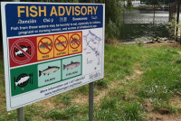 Portland Harbor fish advisory
