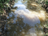 Reflection photo credit by ani Sky reflecting in a swamp