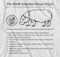 House Hippo Facts