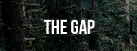 thegap.png